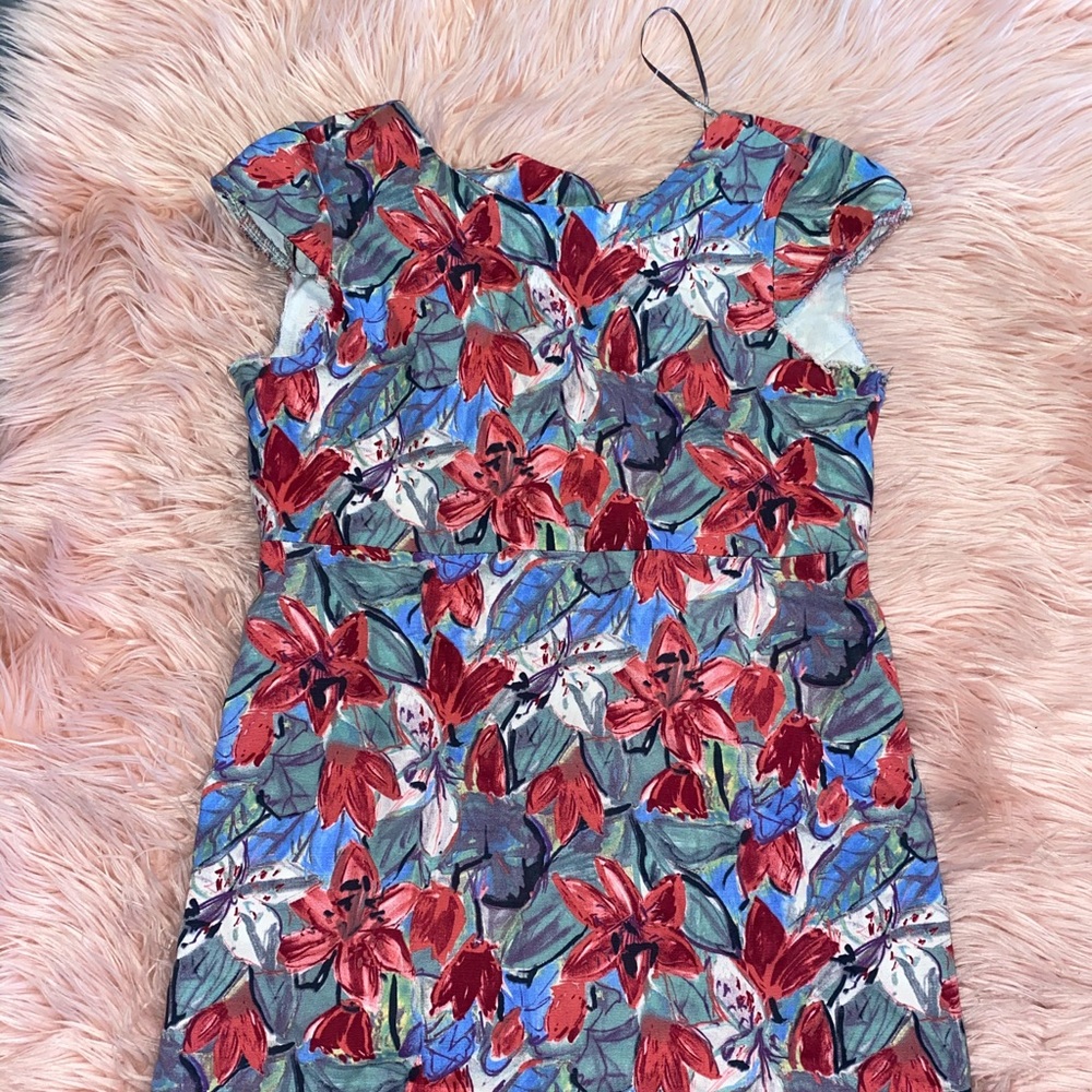 Zara dress trafaluc collection